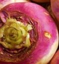 des navets dans mon bac à légumes