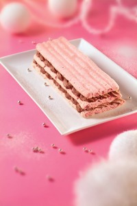 bûche biscuit rose Fossier
