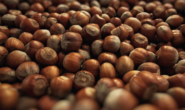 Mère poule cherche Nutella bio pour ses petits